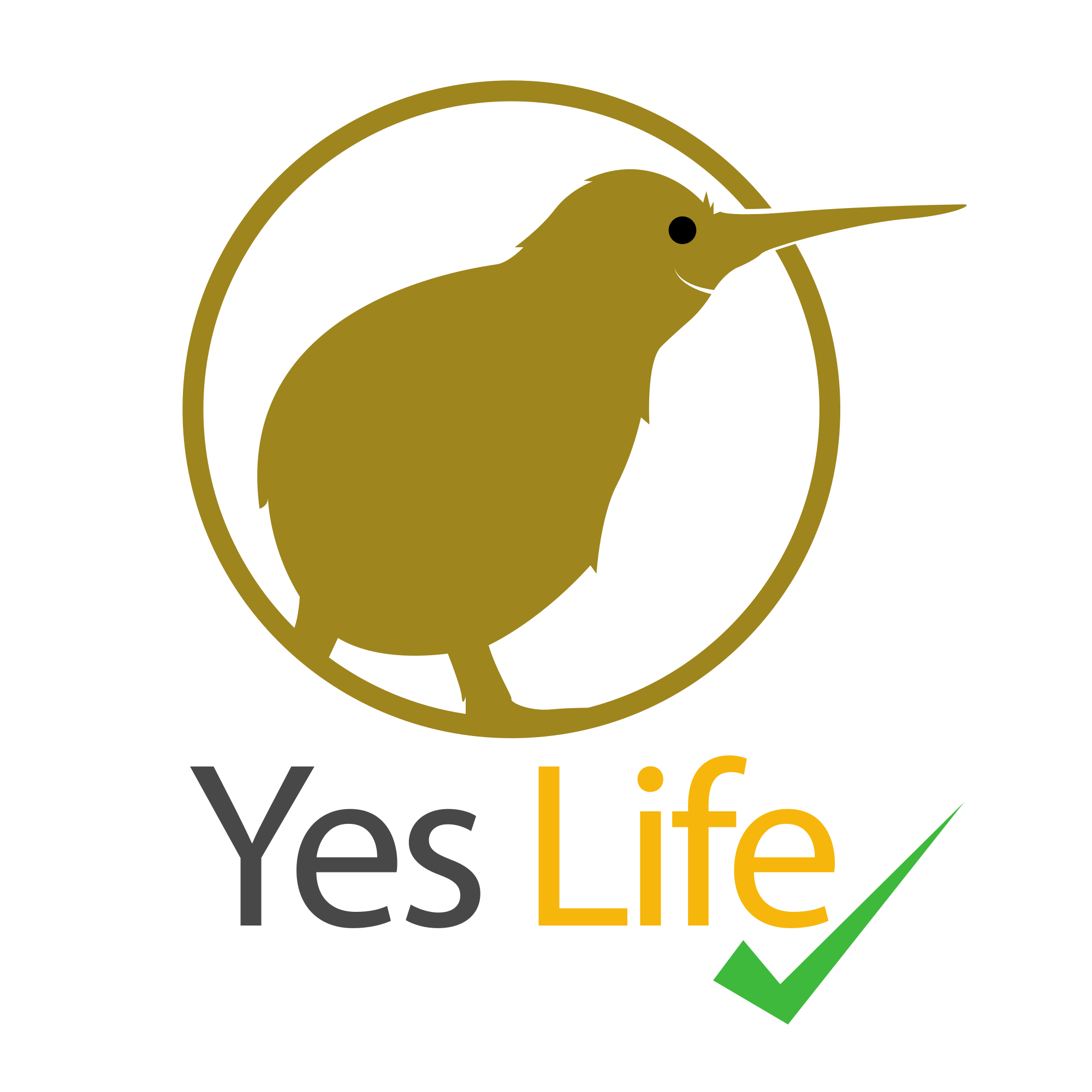 YesLife_logo_1_3_export